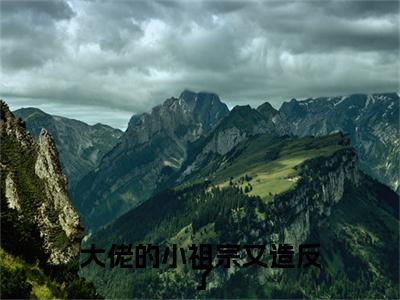 谢清浅夜擎琛附加完整在线阅读（大佬的小祖宗又造反了）最近更新列表