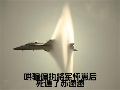 最新章节_笔趣阁（哄骗偏执将军怀崽后死遁了苏邈邈）哄骗偏执将军怀崽后死遁了苏邈邈小说(陆承州苏邈邈)在线畅读阅读