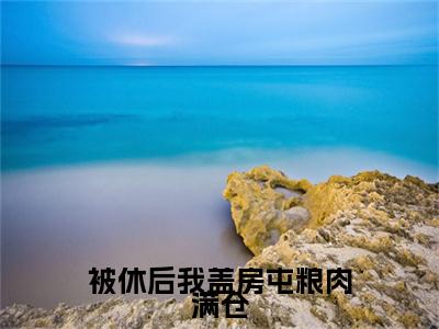 被休后我盖房屯粮肉满仓叶盼汣苏阎续集起点章节+全书阅读（叶盼汣苏阎）书荒必看