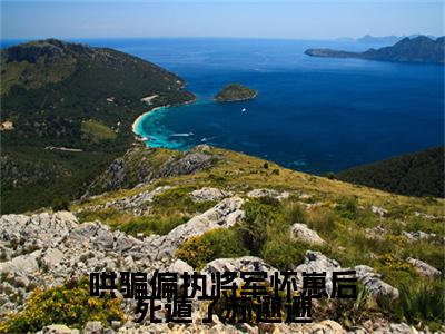 陆承州苏邈邈哄骗偏执将军怀崽后死遁了苏邈邈小说完本+番外（哄骗偏执将军怀崽后死遁了苏邈邈）畅享阅读
