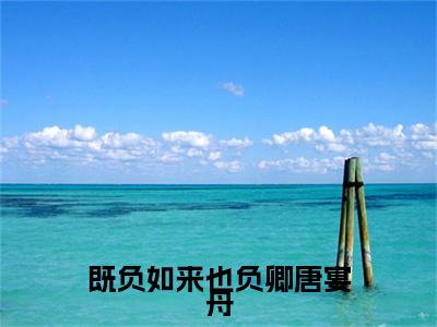 莫清允唐宴舟(既负如来也负卿唐宴舟)全本完整阅读最新章节 莫清允唐宴舟：结局+番外评价五颗星