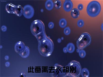 裴宁璇谢鸣修续集（此番离去永相别）章节在线阅读最近章节