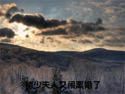 褚少夫人又闹离婚了：+后续+番外沈樑锦褚渊无删减小说在线无广告高口碑小说