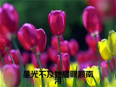 林晚顾南浔小说(林晚顾南浔)终章+番外（星光不及她耀眼顾南浔）一口气阅读