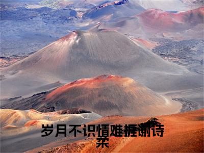全网首发苏淮琛谢诗柔彩蛋(岁月不识情难捱谢诗柔)（苏淮琛谢诗柔）全本完整阅读无弹窗