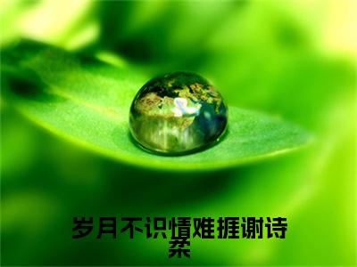 小说岁月不识情难捱谢诗柔(岁月不识情难捱谢诗柔)已更新+无删减（岁月不识情难捱谢诗柔）