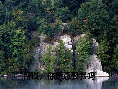 宋矜煜苏南栖小说(所以，你愿意娶我吗？)序章+全章阅读（宋矜煜苏南栖）最新章节