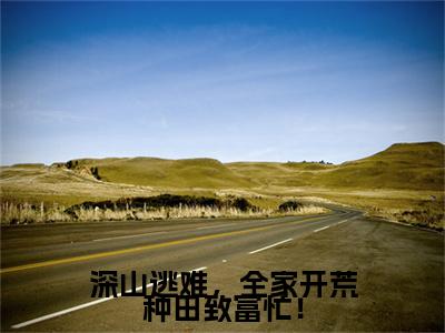 深山逃难，全家开荒种田致富忙！(苏念薇)终章+番外（深山逃难，全家开荒种田致富忙！）：结局+番外评价五颗星