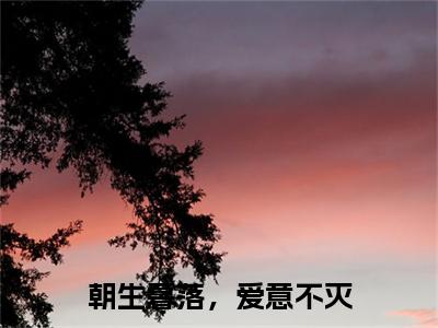 朝生暮落，爱意不灭小说(朝生暮落，爱意不灭)（沈宜欢顾淮煜）在线畅读+开篇大作+前传