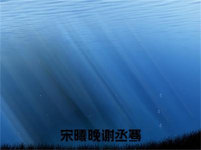 宋曦晚谢丞骞是什么小说(宋曦晚谢丞骞)（宋曦晚谢丞骞）全本完整清爽版在线+无广告结局