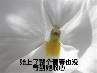 最新章节_笔趣阁（温毅辞秦知宜）温毅辞秦知宜小说(赔上了整个青春也没等到她收心)在线畅读阅读