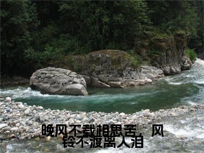 晚风不载相思苦，风铃不渡离人泪(宋晚玲周荆川)章节目录+起始篇章（晚风不载相思苦，风铃不渡离人泪）：结局+番外评价五颗星