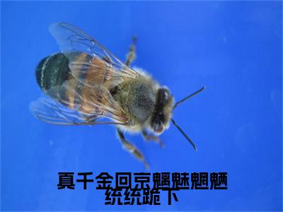 真千金回京魑魅魍魉统统跪下全文免费阅读无弹窗大结局_南晚意最新章节列表_笔趣阁（真千金回京魑魅魍魉统统跪下：完结+结局+番外）