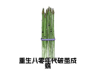 重生八零年代破茧成蝶:全文+番外（林静秋顾景林）TXT+后续+结局在线阅读
