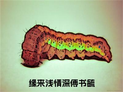 周衍川傅书毓小说(缘来浅情深傅书毓)小说全集在线下载_章节前文+后续（周衍川傅书毓）