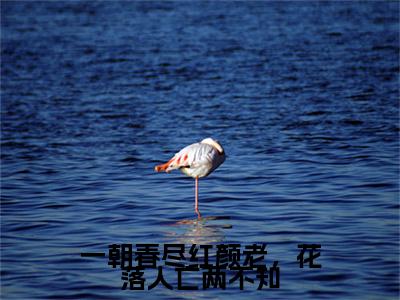 一朝春尽红颜老，花落人亡两不知小说(叶清棠温庭深)（一朝春尽红颜老，花落人亡两不知）在线畅读阅读连载中