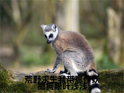 荒野求生我带崽作妖撒狗粮叶浅浅：+后续现已上架+章节前文（叶浅浅沈奕霖）全章无套路在线