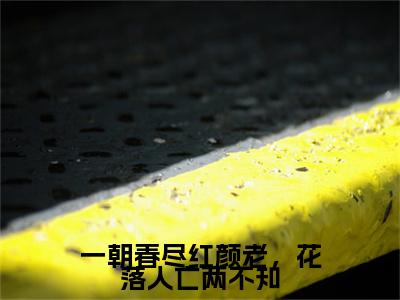 叶清棠温庭深(一朝春尽红颜老，花落人亡两不知)（叶清棠温庭深）前传+阅读全新作品预订