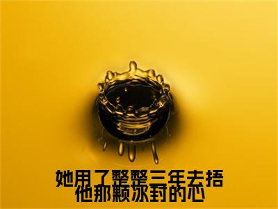 小说大结局小说叶晚妍楚泊辰小说已更新+特别篇（她用了整整三年去捂他那颗冰封的心）纯净版