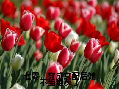 高分_七零，穿成女配后她不当炮灰了小说(慕南枝陆瑾年)（七零，穿成女配后她不当炮灰了）全本完整阅读