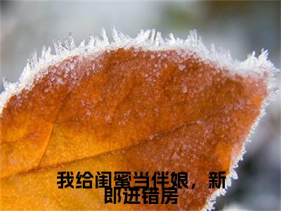 我给闺蜜当伴娘，新郎进错房：结局+番外免费品鉴终极反转（谢甯武香香）：结局+番外评价五颗星