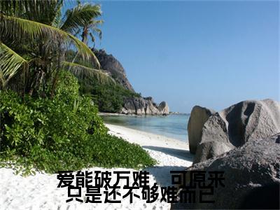 （书荒必看）爱能破万难，可原来只是还不够难而已小说(汪椁沈璃)无删减在线下载阅读最终终章