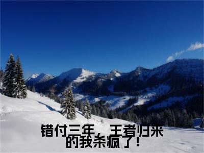 错付三年，王者归来的我杀疯了！续集(薛洋)全本完整免费版_起点章节+后续（错付三年，王者归来的我杀疯了！）