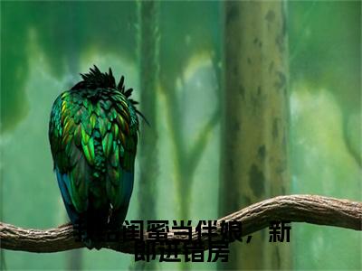 终章小说谢甯武香香完结篇(我给闺蜜当伴娘，新郎进错房)已更新+延伸（谢甯武香香）清爽版