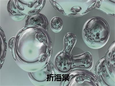 夏末祁修远折海棠番外（折海棠）TXT+后续+结局在线阅读