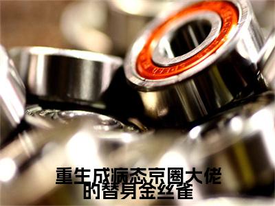姜璃彩蛋+起始篇章（重生成病态京圈大佬的替身金丝雀）阅读