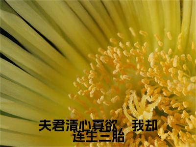 （夫君清心寡欲，我却连生三胎）路蓁蓁傅知易夫君清心寡欲，我却连生三胎无删减小说在线无广告高口碑小说