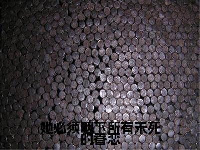 宋韵程晏枫后续（她必须咽下所有未死的眷恋）全文在线下载在线+纯净版结局