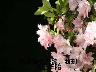 路蓁蓁傅知易夫君清心寡欲，我却连生三胎小说无删减阅读无干扰（夫君清心寡欲，我却连生三胎）番外+续集