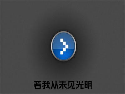 （书荒必看）若我从未见光明小说TXT无套路阅读