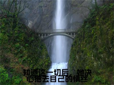 知道这一切后，她决心抽去自己的情丝彩蛋（洛婉清萧宴沉）全书在线下载阅读完美终章小说大结局