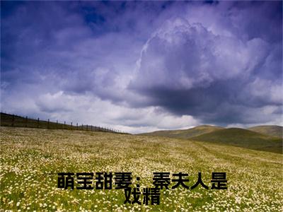 萌宝甜妻：秦夫人是戏精彩蛋小说结尾+附加（陶莺尔秦延之）清爽版阅读