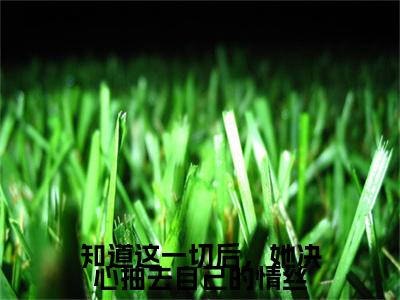 前传_笔趣阁（洛婉清萧宴沉）洛婉清萧宴沉小说(知道这一切后，她决心抽去自己的情丝)章节在线阅读