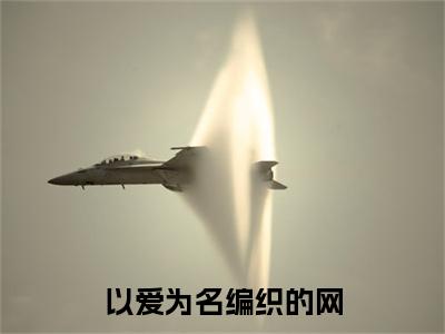 以爱为名编织的网(顾凝汐云祈尧)终章+番外（以爱为名编织的网）：结局+番外评价五颗星