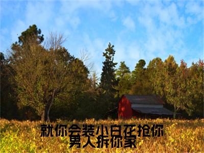 热文推荐就你会装小白花抢你男人拆你家附加(宋染顾远霆)（就你会装小白花抢你男人拆你家）最新章节列表