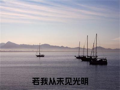 （头条）若我从未见光明(程夏安段清野)整本免费版阅读无广告（若我从未见光明）