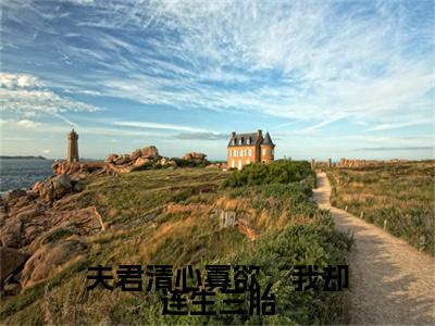 路蓁蓁傅知易全篇完整在线阅读（夫君清心寡欲，我却连生三胎）热门章节列表