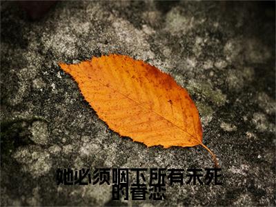 新章速递宋韵程晏枫是什么小说(她必须咽下所有未死的眷恋)完本阅读无广告（宋韵程晏枫）