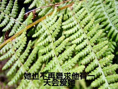 虞之琬谢京墨(她也不再奢求他有一天会爱她)小说全集在线下载_章节前文+后续（虞之琬谢京墨）