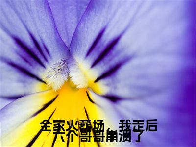 姜楠沈怀川小说完本(姜楠沈怀川)（全家火葬场，我走后六个哥哥崩溃了）前传+整本阅读全新作品预订