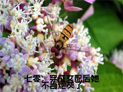 慕南枝陆瑾年七零，穿成女配后她不当炮灰了小说完本+番外（七零，穿成女配后她不当炮灰了）畅享阅读