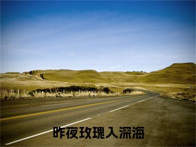 昨夜玫瑰入深海桑晚慕珩小说完本+番外（桑晚慕珩）畅享阅读
