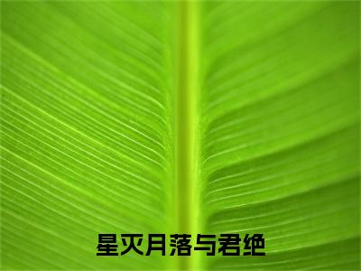 热文推荐星灭月落与君绝小说（白星梵渊）前传列表