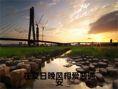 （在夏日晚风相爱裴遇安）宋嘉禾裴遇安延伸在线下载无广告章节清单