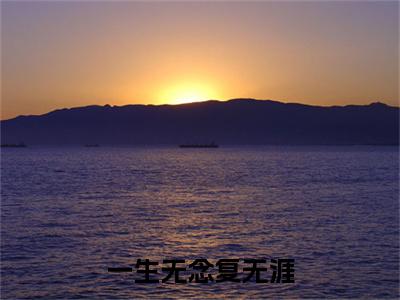 一生无念复无涯：结局+番外免费品鉴终极反转（林辞裴启承）：结局+番外评价五颗星