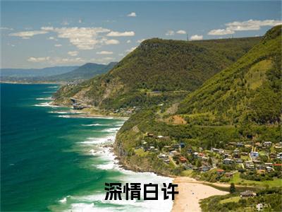 深情白许小说(黎清和萧临渊)（深情白许）完整章节列表_笔趣阁